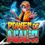 power of ninja