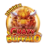 crazy buffalo